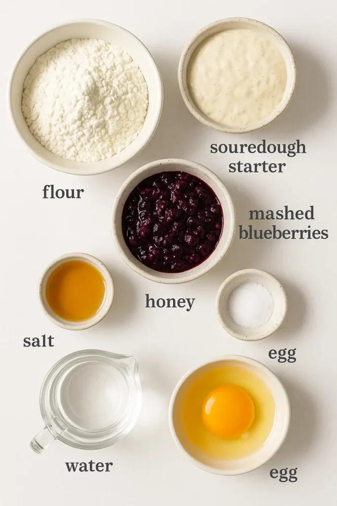 Blueberry Sourdough Bagels: A Healthier, Flavorful Twist to Classic Comfort 5 Blueberry Sourdough Bagel Ingredients