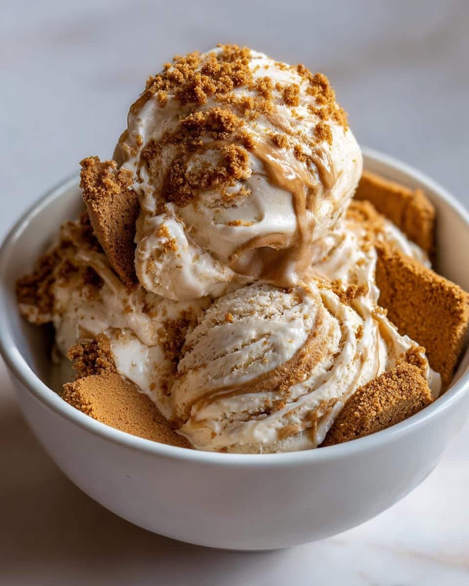 Irresistible No-Churn Biscoff Ice Cream in 6 Hours 8 No-Churn Biscoff Ice Cream - detail 2