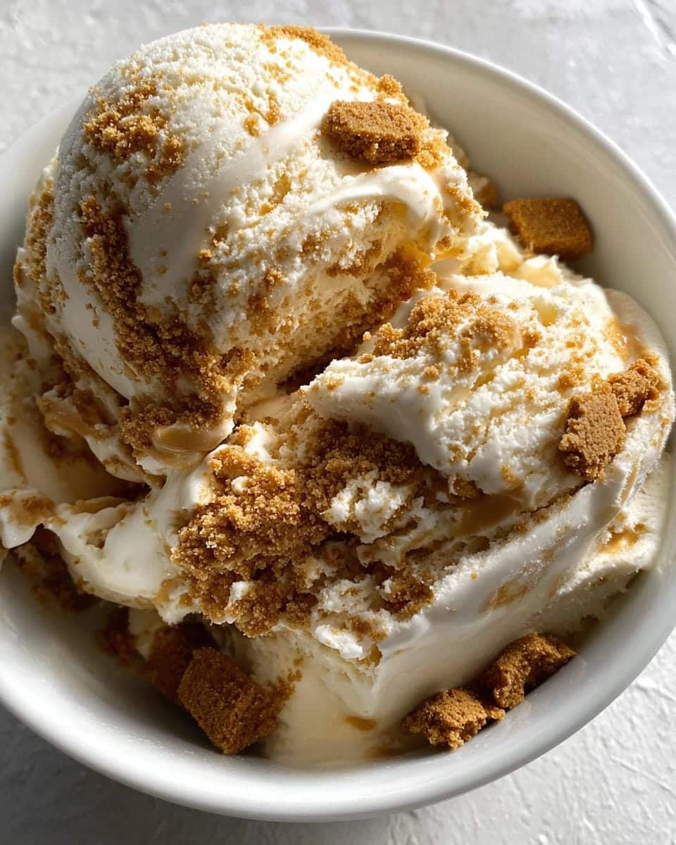 Irresistible No-Churn Biscoff Ice Cream in 6 Hours 10 No-Churn Biscoff Ice Cream - detail 4