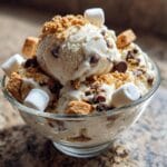 Irresistible S’mores Ice Cream Recipe You Must Try Now 9 S’mores Ice Cream Recipe