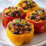 Irresistible Quinoa Stuffed Peppers with 10g Protein Power 5 Quinoa Stuffed Peppers